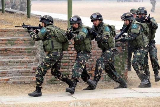 解放军组建海狼突击队填补两栖特战空白