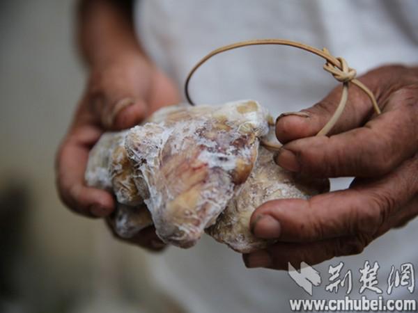 老狗死后留下七两狗宝 老人10万元不卖(图)