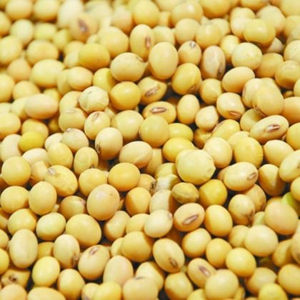 秋季养生:对女人最好食物 西红柿缓衰老