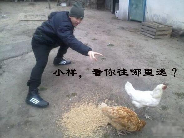 表白失败就跳楼，爹娘白养你
