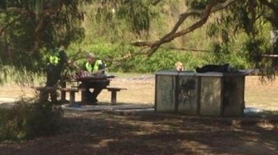 澳大利亚墨尔本一袋鼠遭斩首虐杀 警方正调查