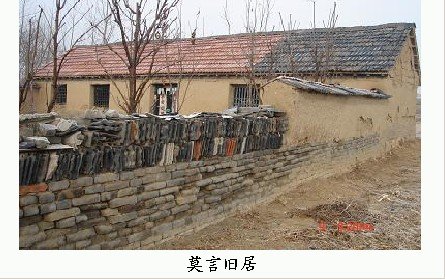 组图：诺奖得主莫言抵达北京图片