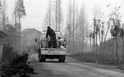 四川洪雅县牛奶黄曲霉毒素源头调查