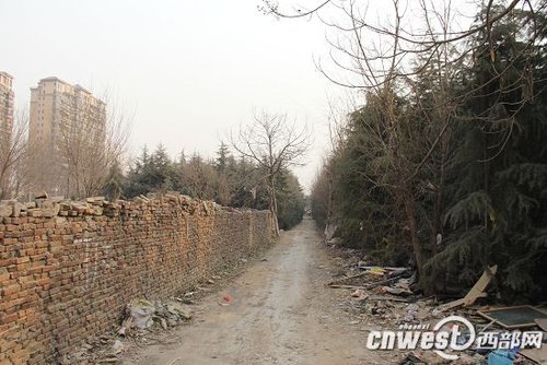 西安七旬拾荒老人被恶狗咬死 狗主人至今未现身