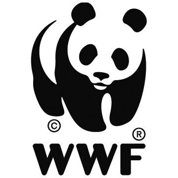 国家林业局:大熊猫仍是濒危物种