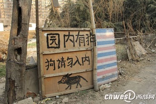 西安七旬拾荒老人被恶狗咬死 狗主人至今未现身