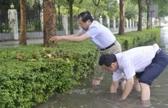 媒体盘点偶遇省部级官员的三个热门地点