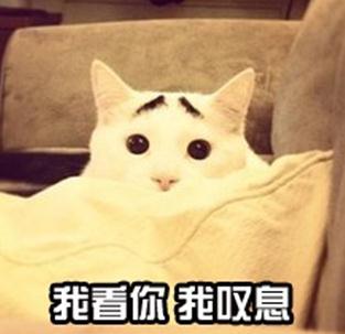 你是博士,就了不起吗?
