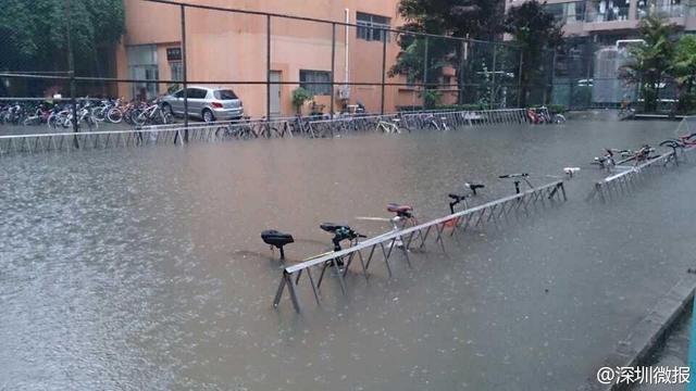 深圳降2008年以来最大暴雨
