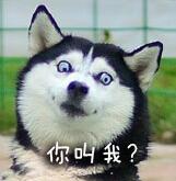 新闻哥吐槽:本班学生被外班学生殴打,老师扇肇事者耳光,护犊子真棒! 新闻哥吐槽:本班学生被外班学生殴打,老师扇肇事者耳光,护犊子真棒!图片