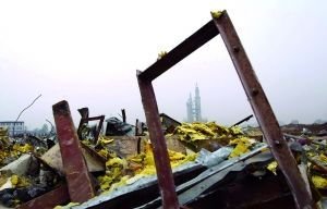 ���������������԰��� �ķ�14�걻�ƹ���(ͼ)