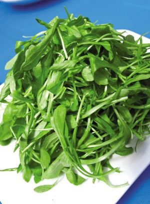 食疗养生：雨水节气最佳食物 豆苗和荠菜上榜