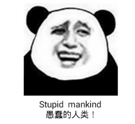酒店保安和游客强拖鲨鱼上岸自拍 致其死亡,丧心病狂啊!