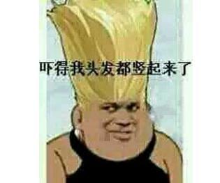 你是博士,就了不起吗?