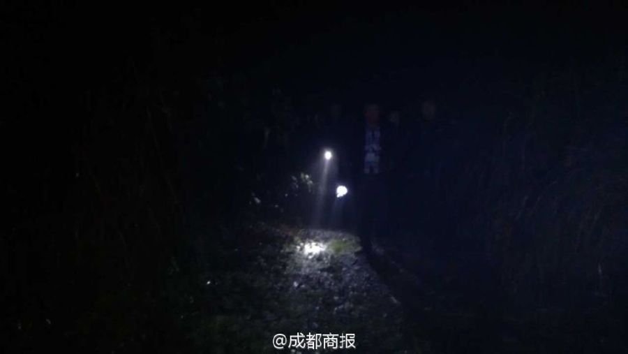 文章配图