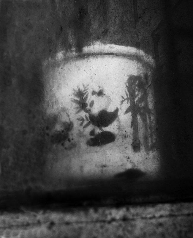 《异物》之瓷缸,厦门,2009年。摄影/罗永进 《异物》之瓷缸,厦门,2009年。摄影/罗永进