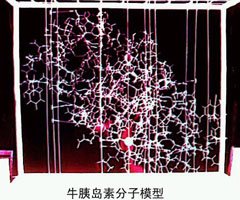 曾参与合成牛胰岛素工作的中国科学院上海生命科学研究院研究员施溥涛