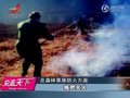 视频：四川一草原发生火灾 无经费用拖把救火