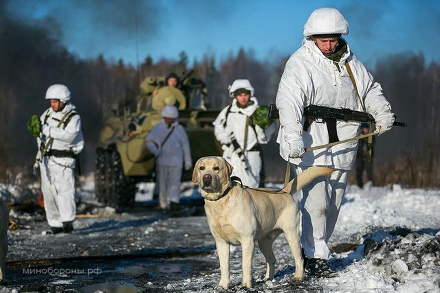 中国曝光最先进地雷：不怕扫雷 美军都不可逾越