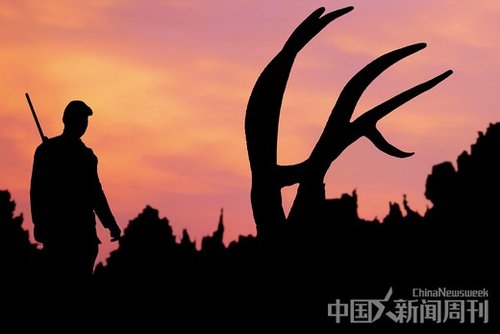 饱受争议的中国富豪狩猎团及幕后推手