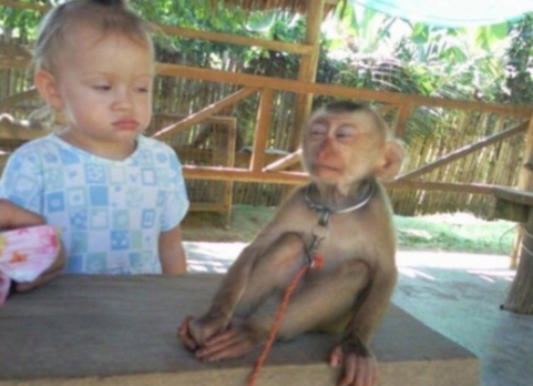 Ӥ�������ף���������ҽ�β����ز�ȡ�����ֶ� �ĺ���