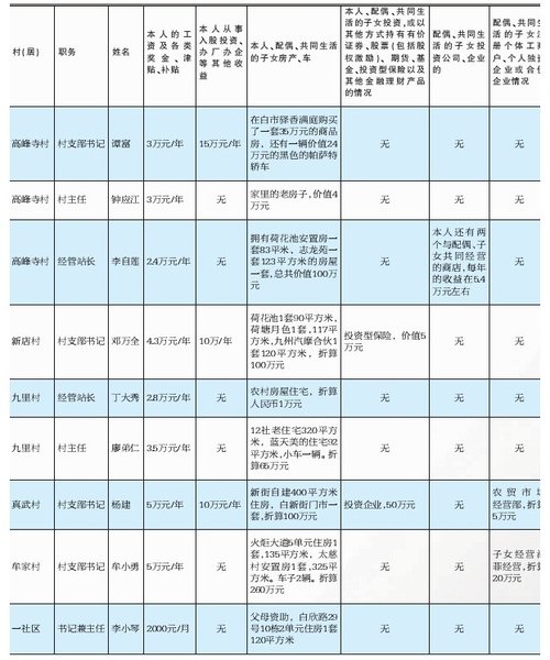 重庆37位村干部全部申报公示财产(图)