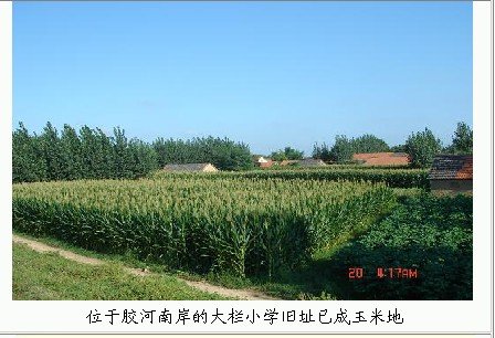 组图：诺奖得主莫言抵达北京图片