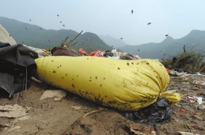 北京房山河北镇景区边堆出“垃圾山”