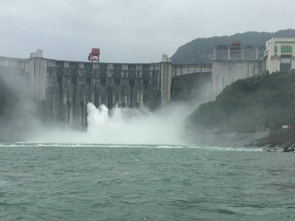 水库泄洪湖北万吨养殖鲟鱼逃逸 或造成生态灾难