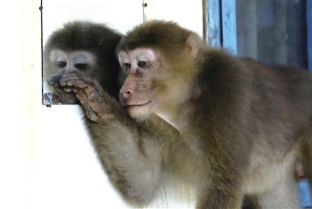 排列3试机号今天