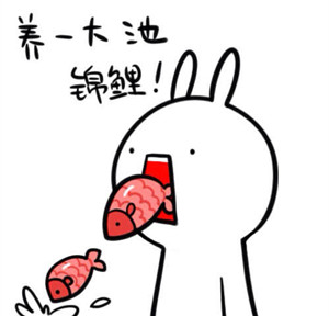 新闻哥吐槽:情侣2万元卖掉亲女儿,转身花2000买宠物猫,枉为父母! 新闻哥吐槽:情侣2万元卖掉亲女儿,转身花2000买宠物猫,枉为父母!图片