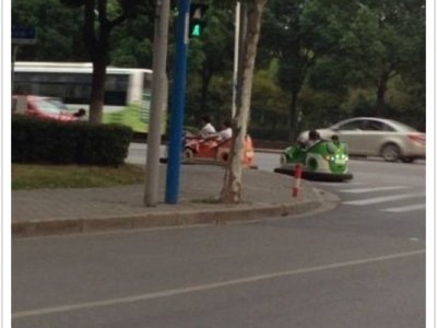 巴西土豪养老虎图片