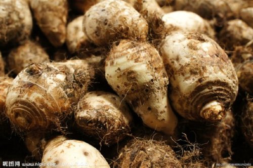 养生:10种蔬菜最适合冬天吃 菜花包心菜(图)