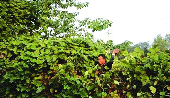 文章配图
