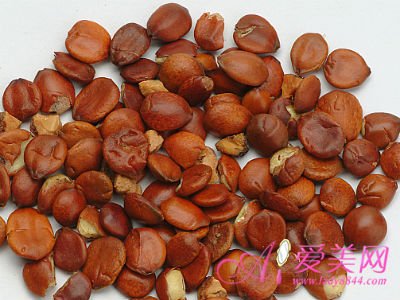 压力大吗?12种食物宁神益智抗抑郁