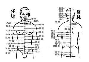 研究督脉26年专家:中医无打通任督二脉说法