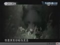 视频：黑熊咬死饲养员 对其不断踩踏撕咬