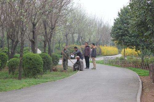 崔嵘摄 近日,有媒体报道称,位于陕西咸阳的沣河森林公园,投资了6000