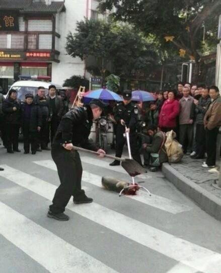 高清图—四川南充阆中市宾馆门口一只流浪狗被警察杖毙