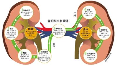 23度海鲜面_海鲜面_海鲜广告(5)