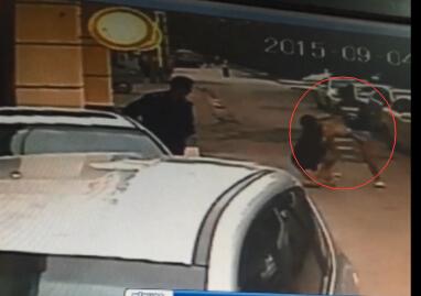 河北一女生遭前男友殴打后跳河身亡 警方未立案