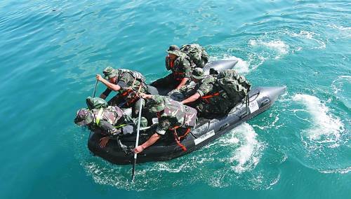 Army of analytic China special type: If the task discloses reputation of state having damage