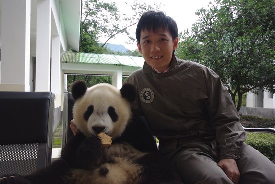 第四届动物与自然电影周名人明星认养大熊猫