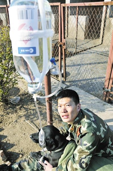 中国驻索马里使馆牺牲武警原打算回国后结婚