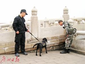 广东功臣搜救犬高龄去世 曾参加国庆安保护航奥运