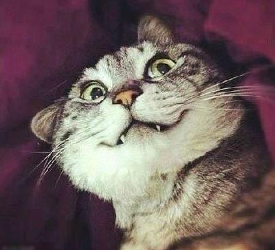 这世界太可怕,舍友成了后妈_新闻_腾讯网