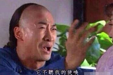 阿姨,您还招女婿吗?