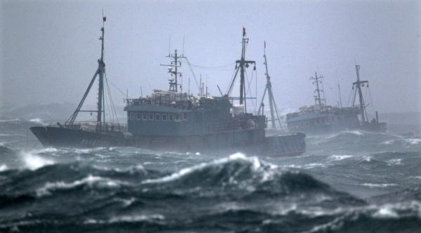 中国远洋捕鱼企业被指在西非涉嫌谎报渔船吨位_新闻_腾讯网