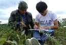 Ziua: recenzorii