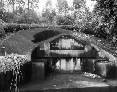 宋朝古墓内葬母猪 历任寺庙主持均来扫墓(组图)